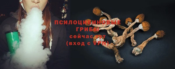 соль ск Белокуриха