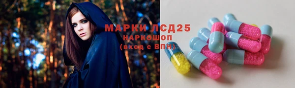 соль ск Белокуриха