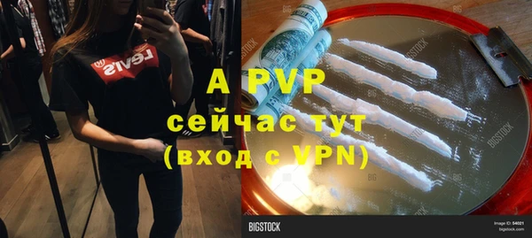 соль ск Белокуриха