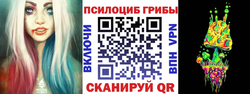 Псилоцибиновые грибы Psilocybe  Кумертау 